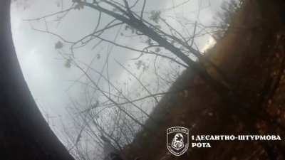 Ukrainian soldiers of the 1st Airborne Assault Company of the 13th Separate Airborne Assault Battalion of the 95th Separate Airborne Assault Brigade are firing at enemy FPV drones in the Sumy direction. 29.10.2025