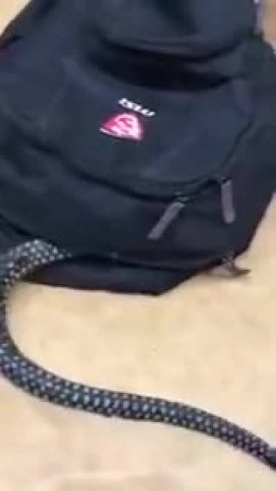 What&rsquo;s in the bag?