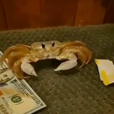 The funny
