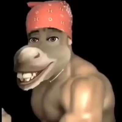 le epic funny lion king
