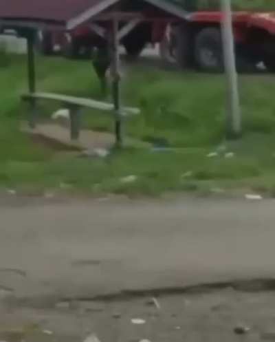 Ninja Monkey 