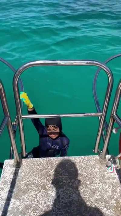 Shark attack