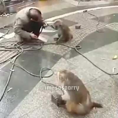 Eles evoluem mais r&aacute;pido do que vc imagina
