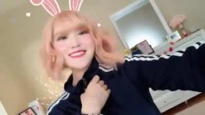 🐰