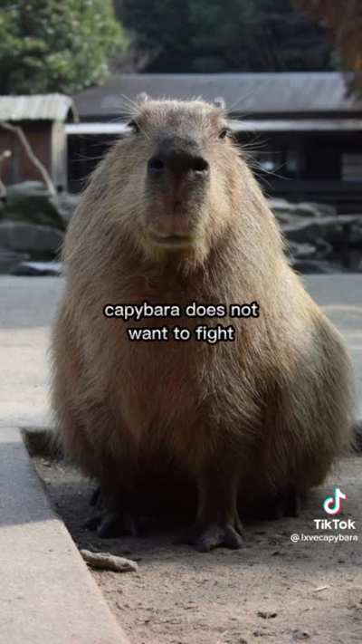 Capyslay