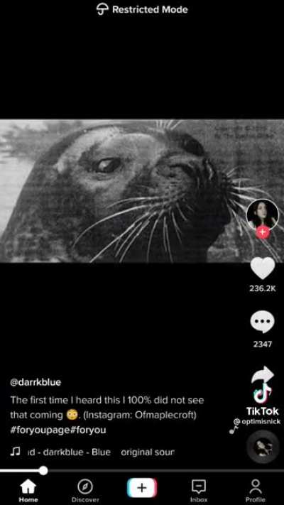 Damn.... Seals can talk