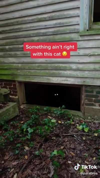 Who else would like to nope the fuck out of that situation