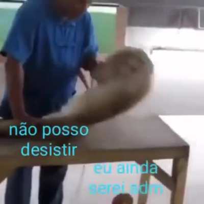 S&eacute;rio