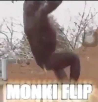 monkyyyy