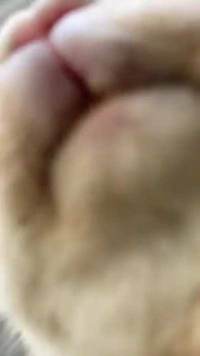 action shot of my rabbit eating.