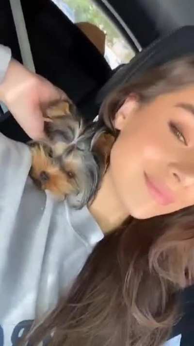 Wif da pupper