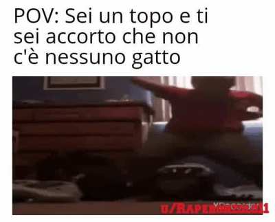sto