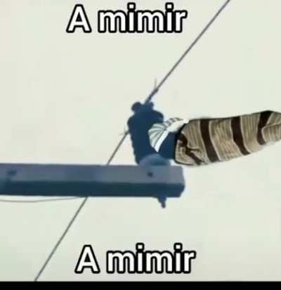 🐒