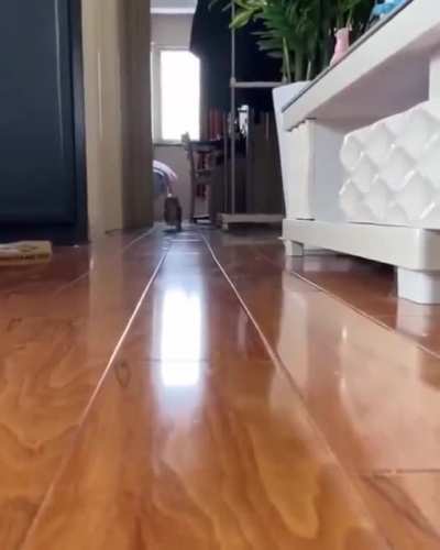 come here, little!
