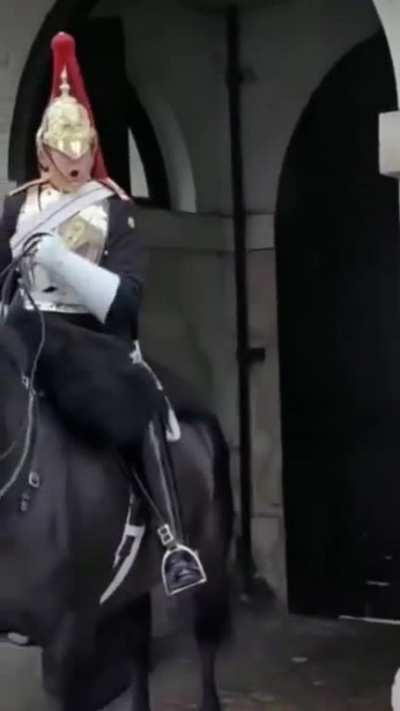 Video creator claims that the Queen&rsquo;s Guard &ldquo;verbally attacked&rdquo; their step mum&hellip; when it&rsquo;s against the rules to touch the Guard or their steeds