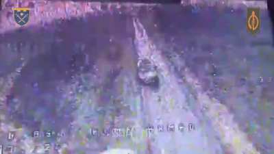 Ukrainian Baba Yaga drones laid out anti tank mines on a road during the night. A russian armored convoy then got ambushed and destroyed on that same road in Guevo (Kursk region) by UA 