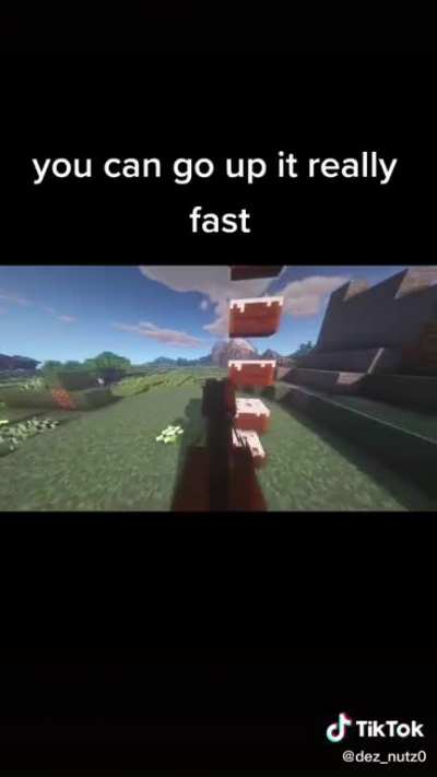 I found this on tiktok- CREDIT @dez_nutz0 on tiktok