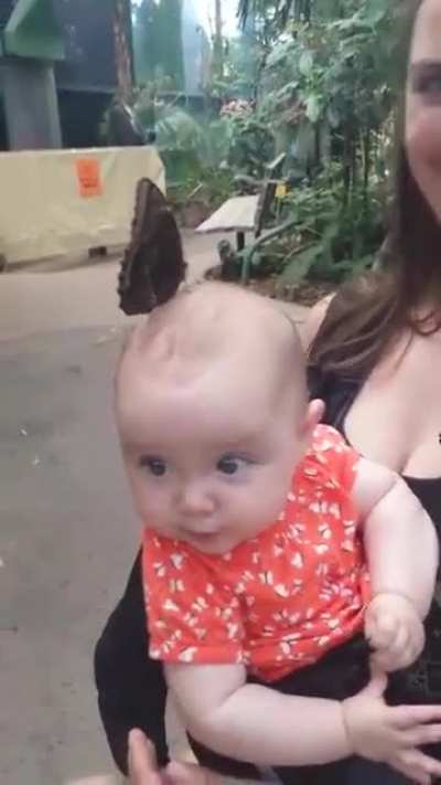 Kids and their crazy hairstyles