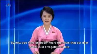 🇰🇵