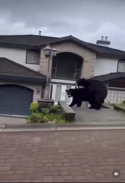 Just a beautiful stroll in the neighborhood with great nature scenes
