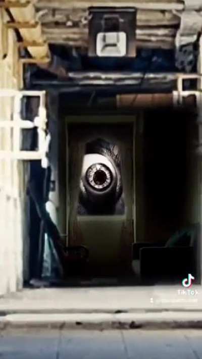 An infinite zoom into dead eyes.