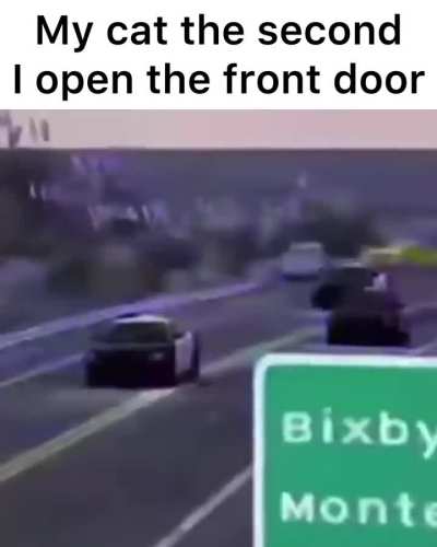 Day 373 of posting memes