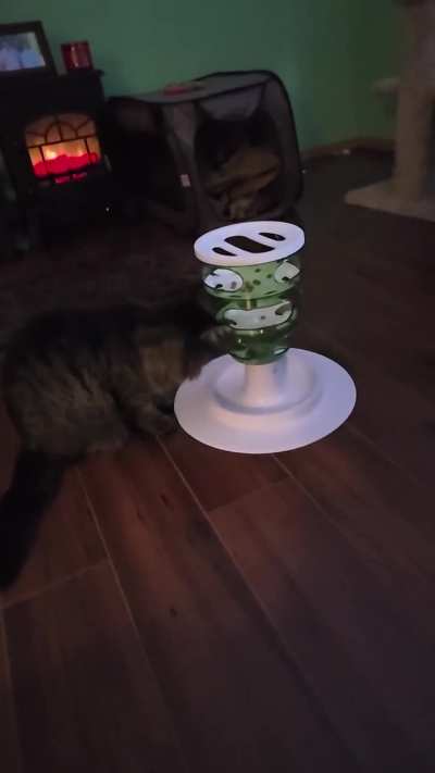 Anyone else's kitty's like doing food puzzles?