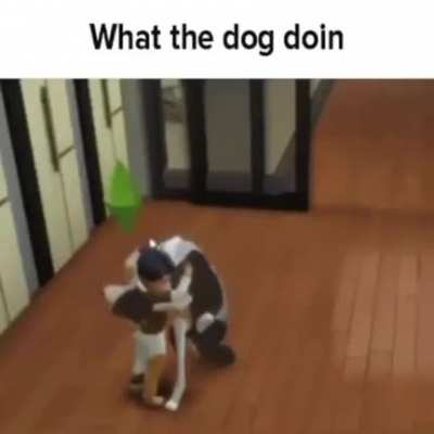 Furries