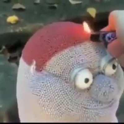 Beta griffnin nooo