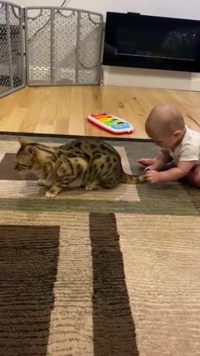 Ya&rsquo;ll my cat ain&rsquo;t normal 🤣🤣🤣🤦🏼&zwj;♀️ No matter how many times I take the cat away from the baby&rsquo;s play area... he keeps coming back. &amp;amp; no I do not let the baby do this all the time. *No cats were harmed in this video*