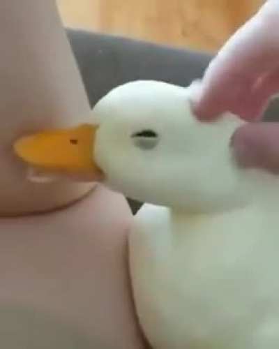 To make everyone smile here !