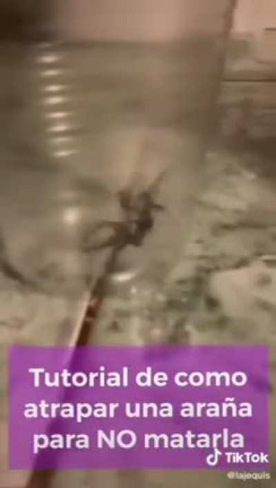 Aprendan