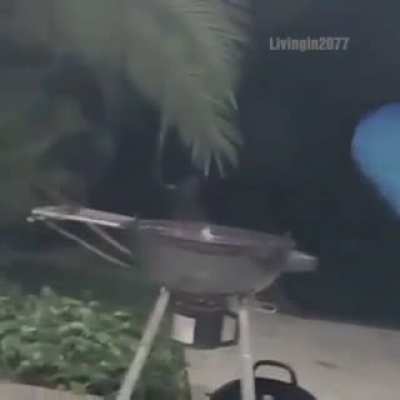 Спасение рядового лягушки