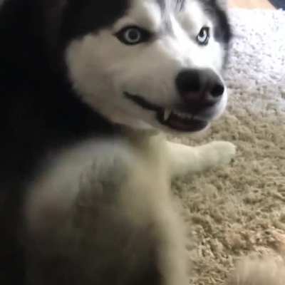 DJSRATCHYFACE