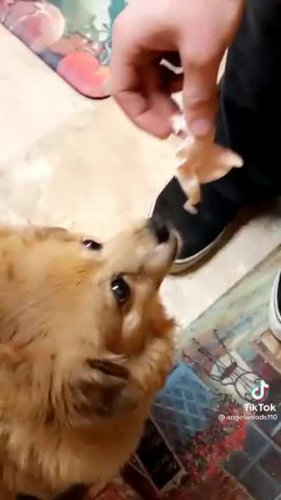 Nom nom nom