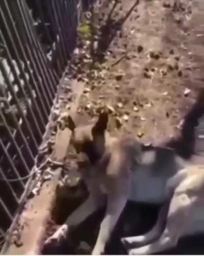 pa entro
