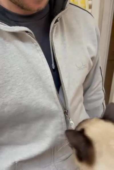 My cat&rsquo;s new hobby is unzipping my husband&rsquo;s coats. Repeatedly. And incessantly.