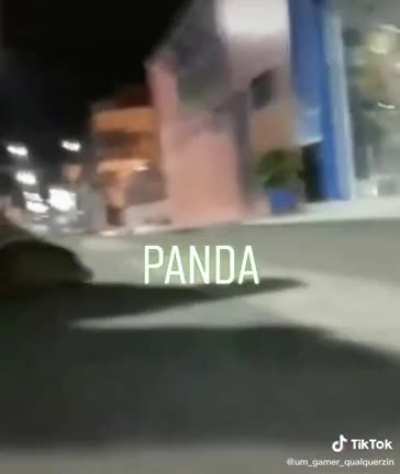 CRIADO NUMA FAZENDA JAMAIS TEVE TAL AMBI&Ccedil;&Atilde;O