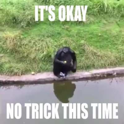 MONKE