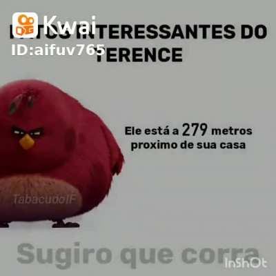 Um salve pra quem assistiu angry birds 😎