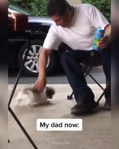 L&aacute;rgate pa'lla con tu animal