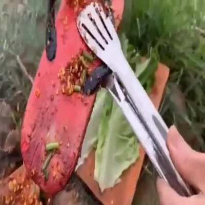 What a nice steak