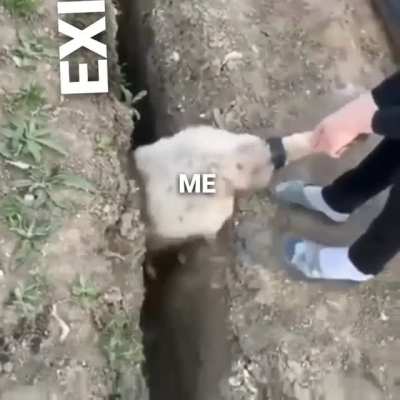 Don't you dare pull me out of my comfort zone