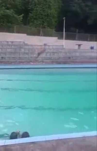 HMFT after I do a perfect dive