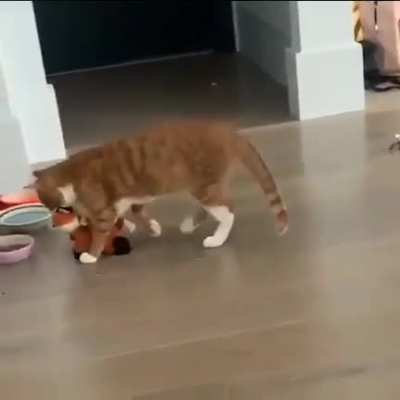 You'll eat too...