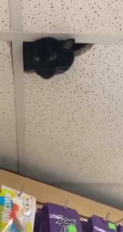 New installed surveillance camera in the store