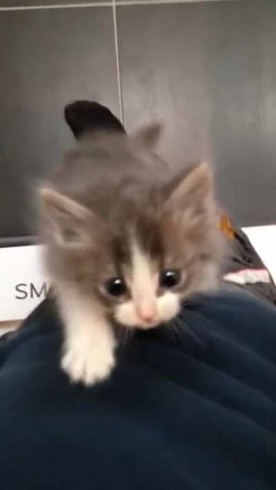 Oha &ccedil;ok tatlı 😍