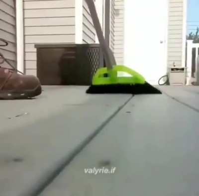 XD