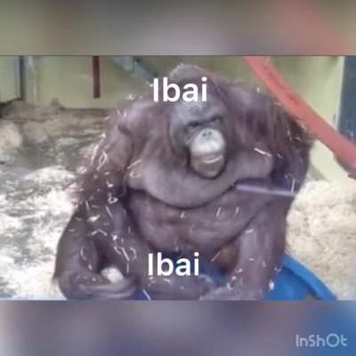 Ibai