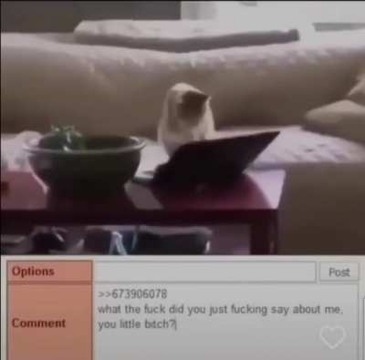Internet tollcat